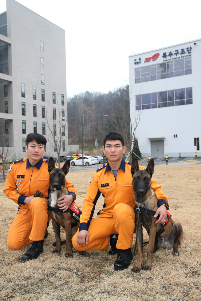 ▲서울시 소방재난본부는 재난현장을 누빌 새로운 인명구조견 ‘태양’과 ‘태주’ 두 마리의 인명구조견을 서울119특수구조단(특수구조대)에 지난해 12월 30일부터 배치했다. (사진 = 서울시)