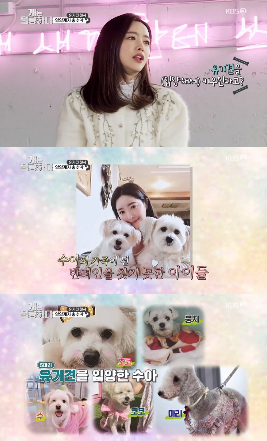 (출처=KBS2 '개는 훌륭하다' 방송캡처)