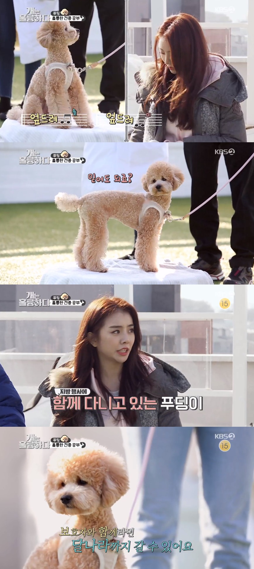 (출처=KBS2 '개는 훌륭하다' 방송캡처)