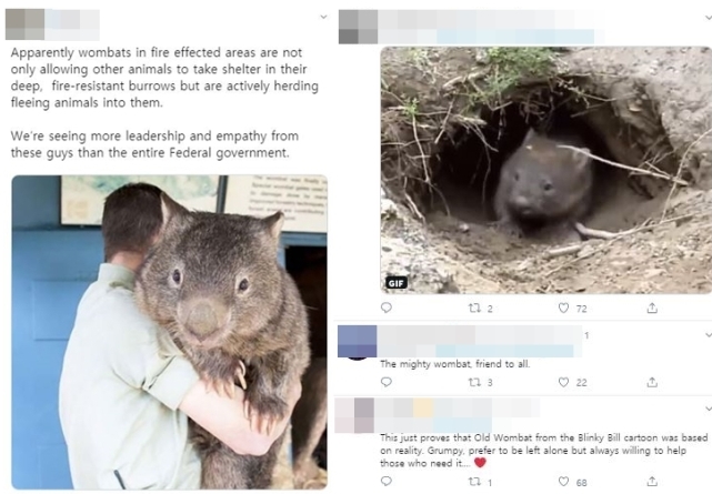 (출처=트위터 화면 캡처)