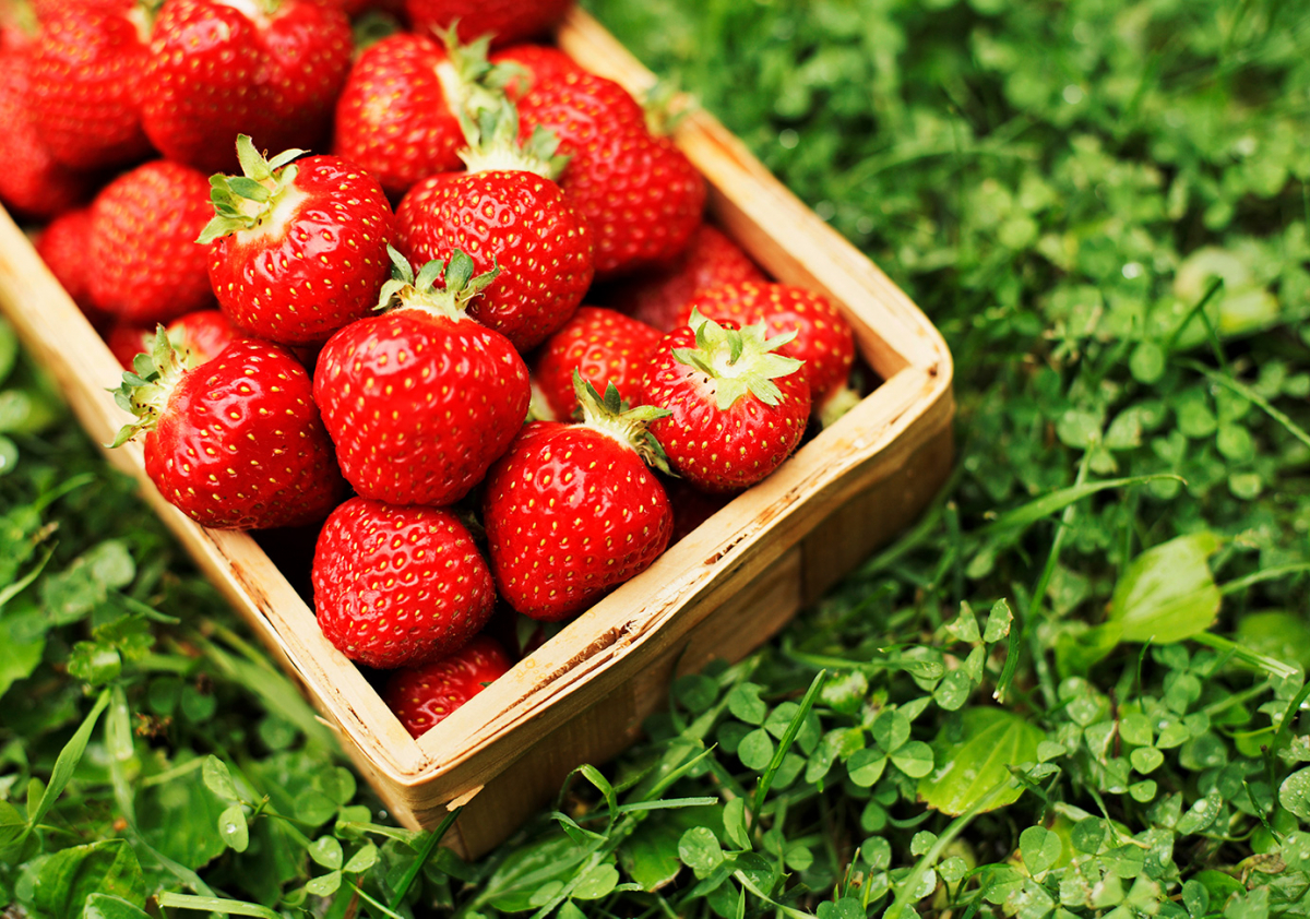 (사진제공=롤링힐스)