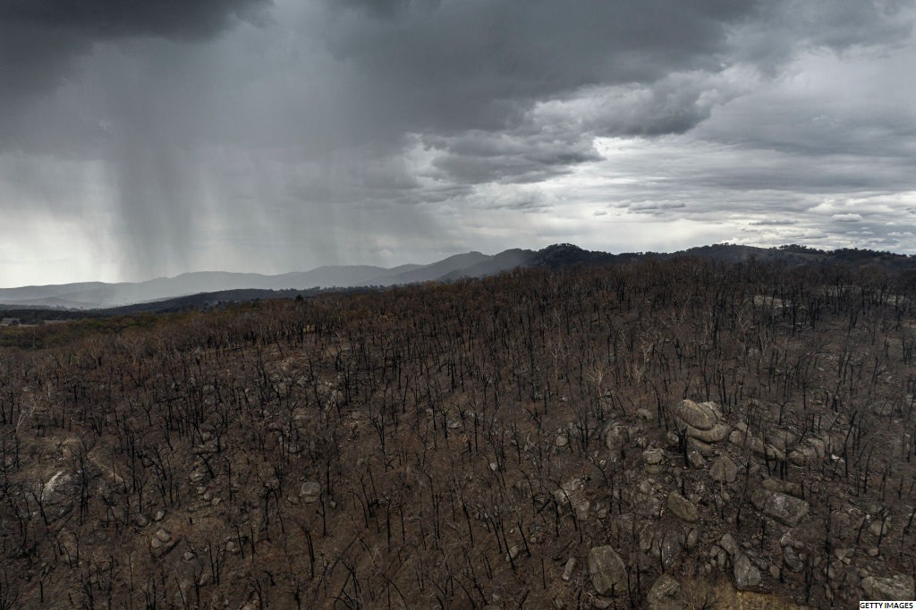 ▲15일(현지시각), 호주 뉴사우스웨일스주 탐워스 부근의 가뭄과 화재 피해를 입은 땅에 비가 내리고 있다. (출처=BBC Weather 트위터 캡처)