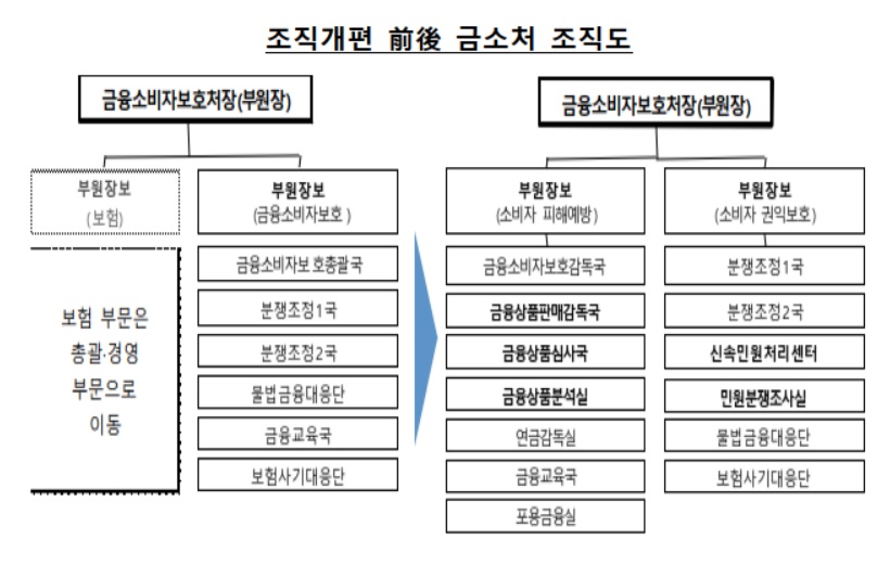 (출처=금융감독원)