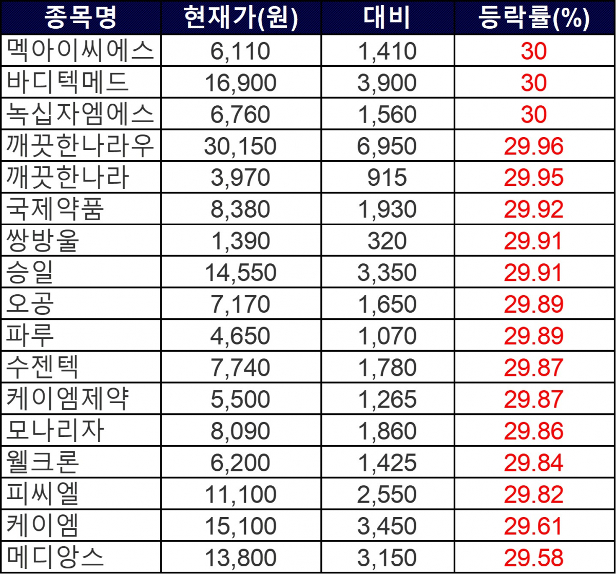 ▲28일 상한가 종목들. (자료=한국거래소)
