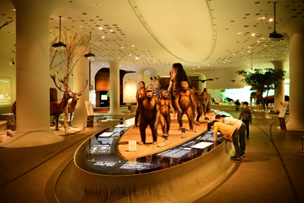▲전곡선사박물관은 인류의 진화 과정을 생생하게 전시하고 있다.