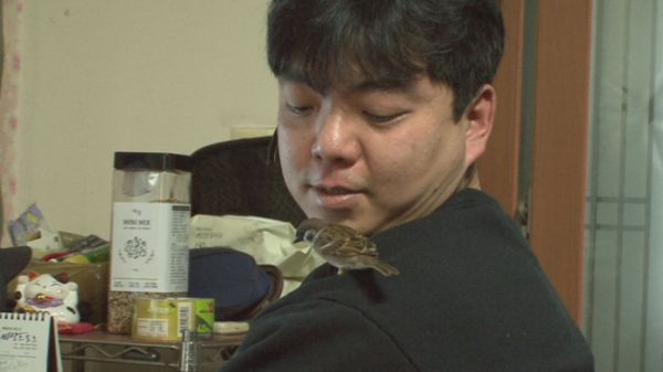 ▲껌딱지 참새(사진제공=SBS)