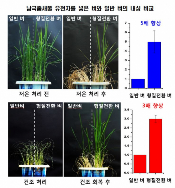 (출처=극지연구소)