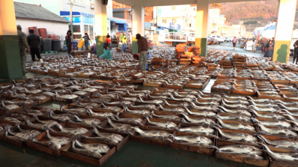 ▲'다큐멘터리 3일' 거제 외포항 스틸컷(사진제공=KBS)