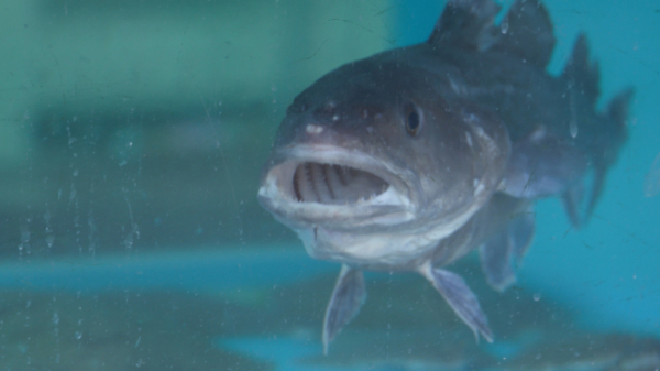 ▲'다큐멘터리 3일' 대구(사진제공=KBS)