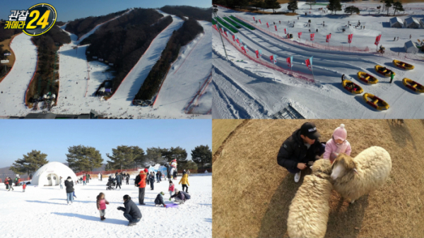 ▲'관찰카메라24' 강원도 홍천(사진제공=채널A)
