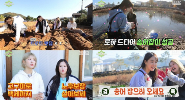 ▲‘네이처 리프레시’