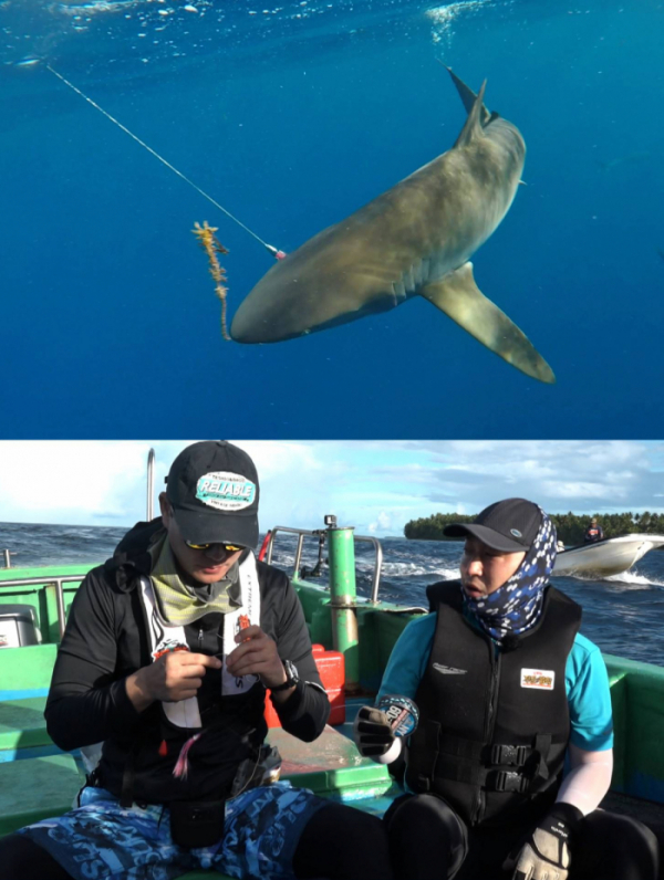 ▲‘정글의 법칙’(사진제공=SBS)