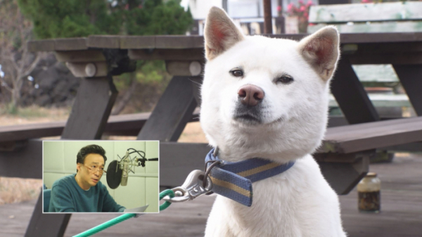 ▲'TV 동물농장' 이성민(사진제공=SBS)