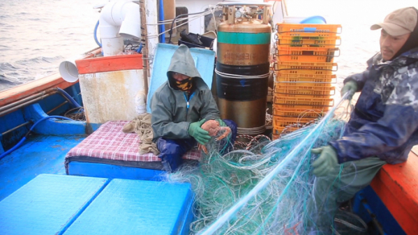 ▲'EBS 극한직업' (사진제공=EBS)