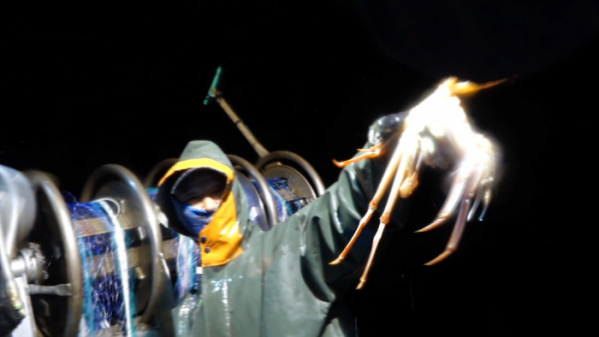 ▲'EBS 극한직업' (사진제공=EBS)