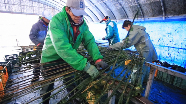 ▲'EBS 극한직업'(사진제공=EBS)