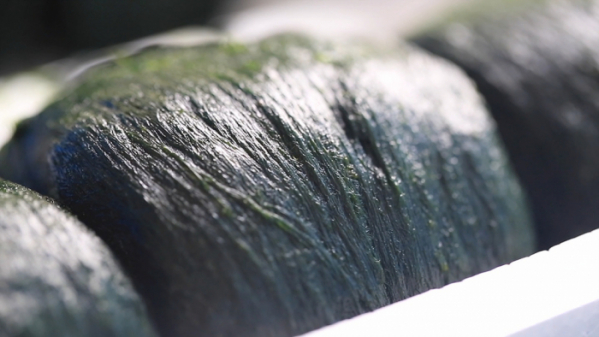 ▲'EBS 극한직업'(사진제공=EBS)