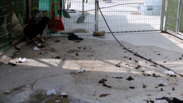 ▲'제보자들'(사진제공=KBS2)