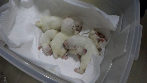 ▲'제보자들'(사진제공=KBS2)