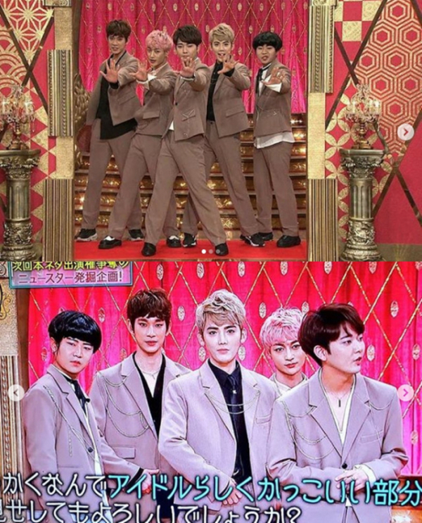 ▲'네타파레' 코쿤(사진제공=윤소그룹)