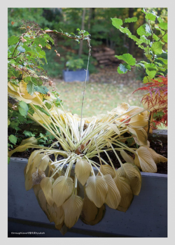 ▲혁오(사진제공=두루두루 아티스트 컴퍼니)