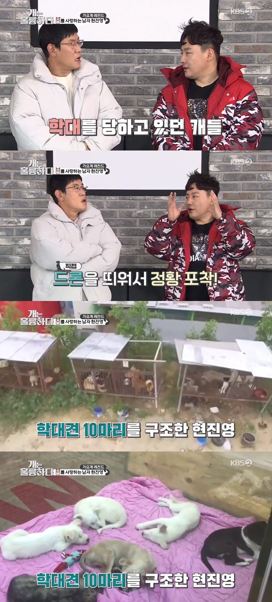 (출처=KBS2 '개는 훌륭하다' 방송캡처)