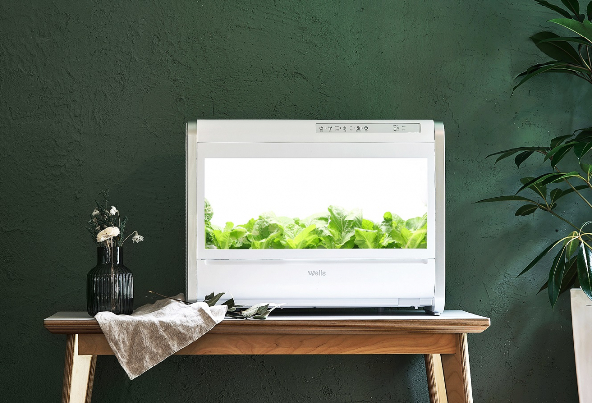 ▲식물 재배기 (사진제공=교원 웰스)