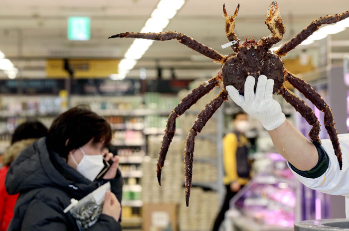 ▲킹크랩 가격 하락 (뉴시스)