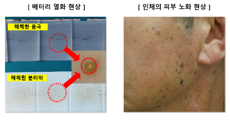 ▲삼성SDI가 조사단의 결과에 반박하며 제시한 사진. 조사단이 배터리를 화재 원인으로 지목하며 제사한 황색 반점 등에 대해 삼성SDI는 "배터리 사용에 따른 내부의 다양한 화학반응으로 인한 부산물로 모든 배터리에서 발견되는 자연스러운 현상"이라며 "이로 인해 배터리 전압 차이가 발생할 수 있지만, 이는 사람이 늙으면 피부에 생기는 기미나 검버섯이 건강상 문제가 없는 것과 마찬가지"라고 강조했다. (사진제공=삼성SDI)