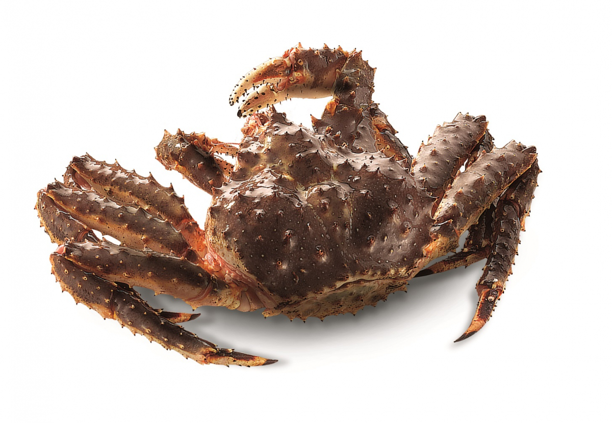 (사진제공=이마트)