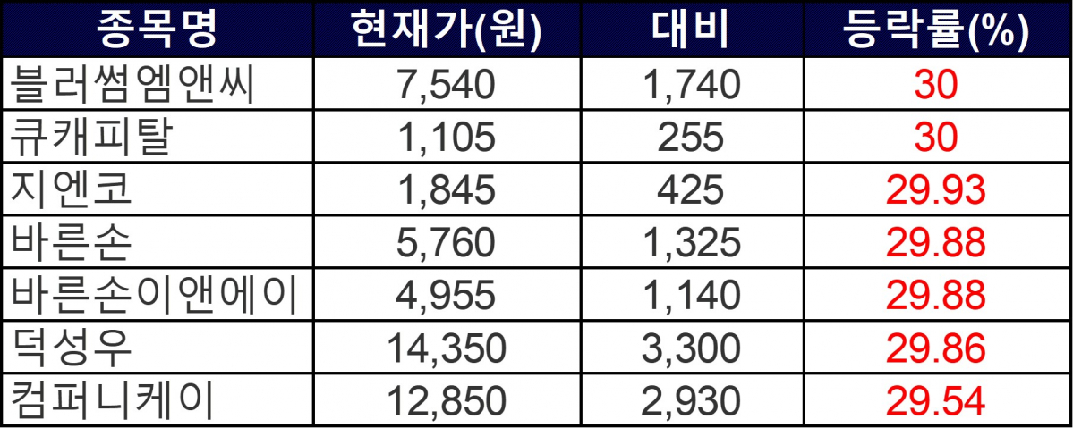 ▲13일 상한가 종목들. (자료=한국거래소)