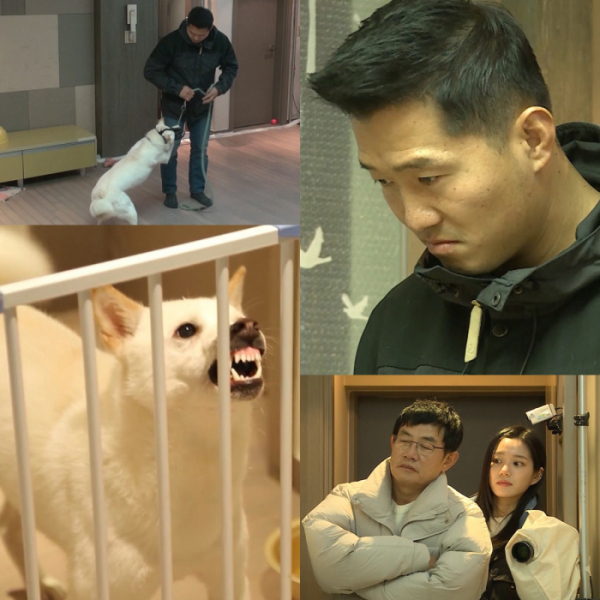 ▲'개는 훌륭하다' 강형욱(사진제공=KBS 2TV)