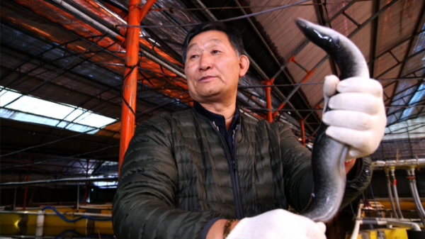 ▲'한국인의 밥상' 제주 밥상(사진제공=KBS1)