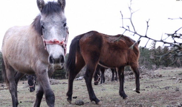 ▲제보자들.(사진제공=KBS2)