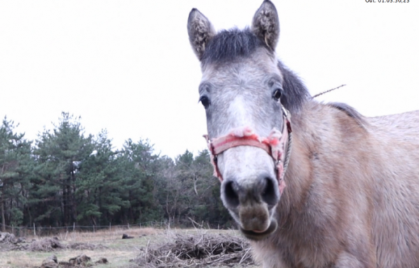 ▲제보자들.(사진제공=KBS2)
