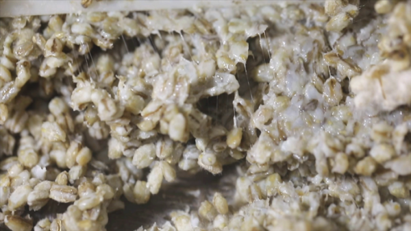 ▲'김영철의 동네 한 바퀴' 경기도 평택(사진제공=KBS 1TV)