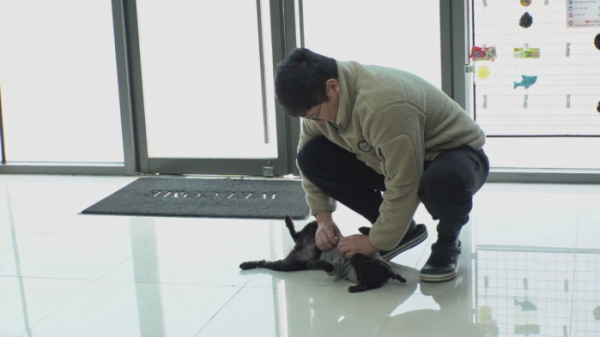 ▲'TV동물농장' 권환흥 수의사(사진제공=SBS)