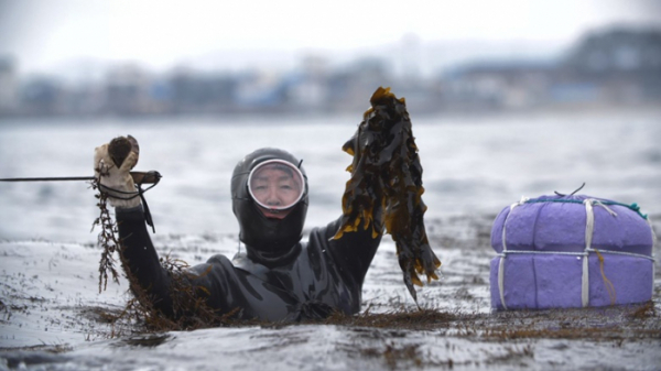 ▲'한국인의 밥상'(사진제공=KBS 1TV)