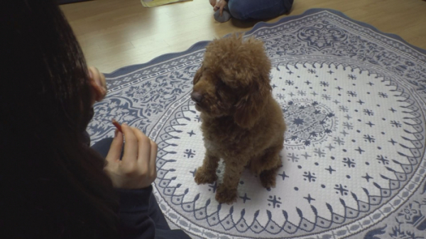 ▲‘TV 동물농장’(사진제공=SBS)