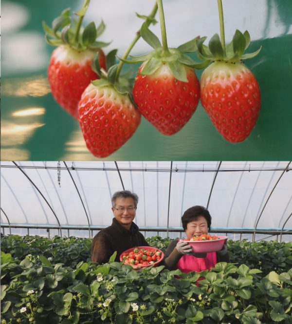 ▲‘서민갑부’ (사진제공=채널A)