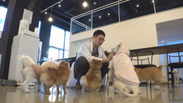 ▲‘TV 동물농장’ 이태형 수의사(사진제공=SBS)