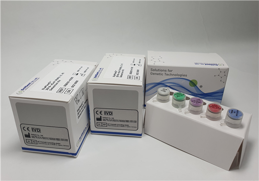 ▲솔젠트의 코로나19 진단시약 '다이아플렉스큐(DiaPlexQ 2019-nCoV (RdRp, E, N) Detection Kit)' (솔젠트)