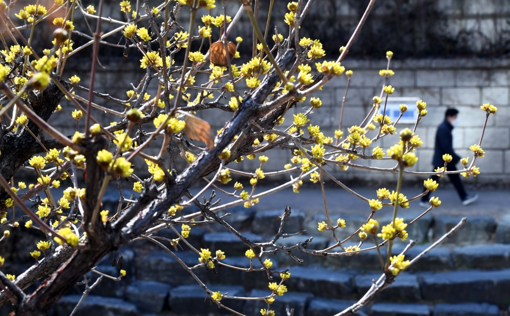 (신태현 기자 holjjak@)