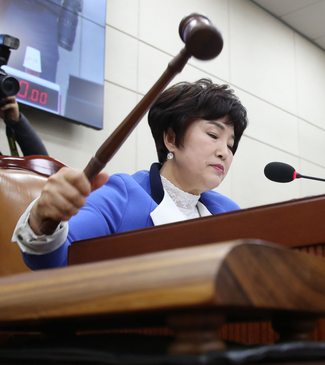 ▲더불어민주당 소속 전혜숙 행정안전위원장이 6일 오후 국회에서 열린 행정안전위원회 전체회의에서 의사봉을 두드리고 있다. (연합뉴스)