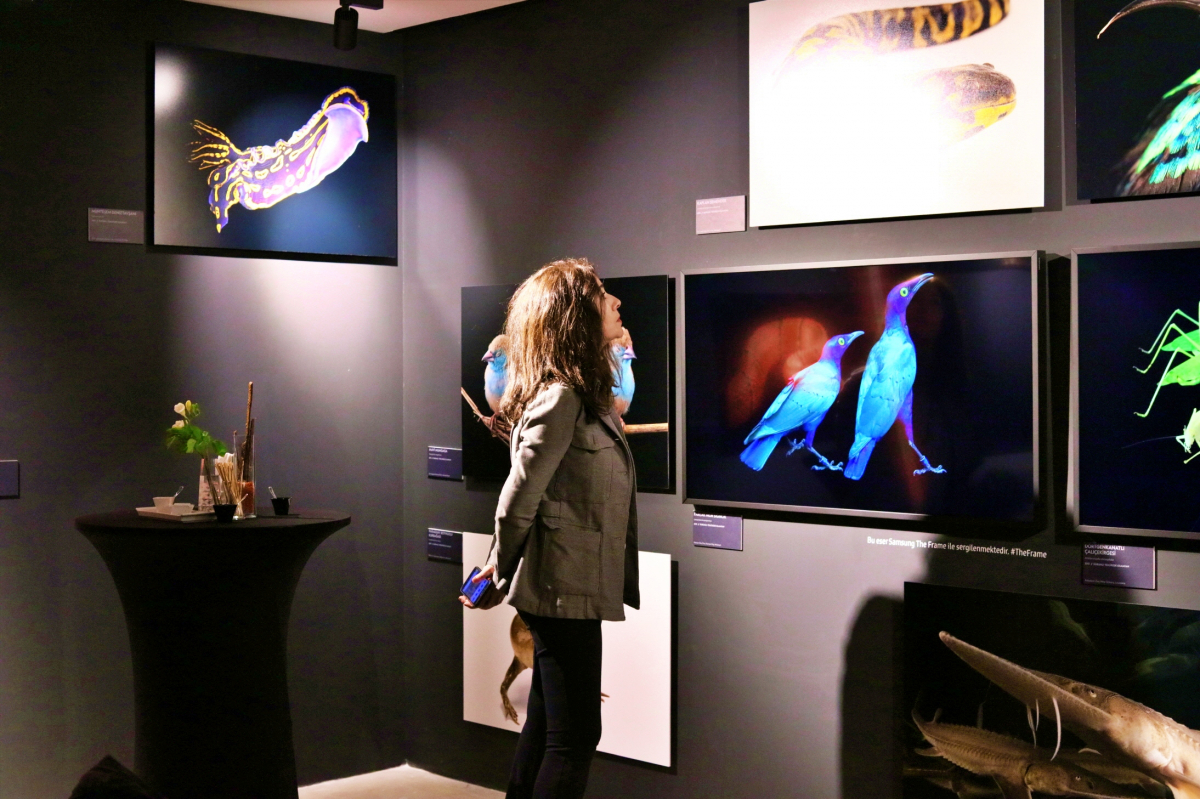 (사진제공=삼성전자)