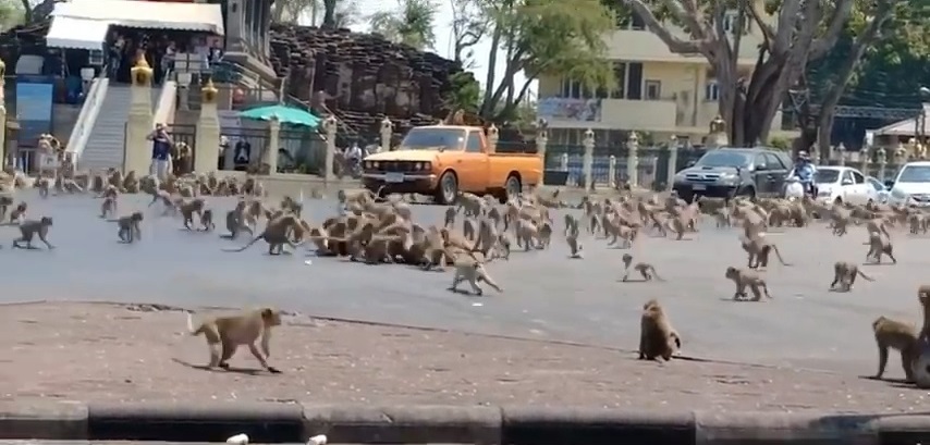 (출처=유튜브 영상 캡처)