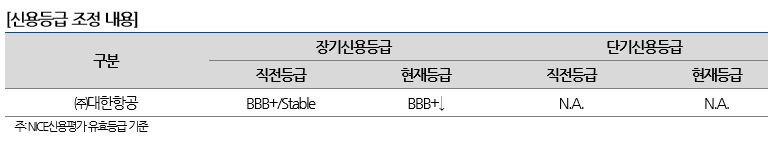 (제공=나이스신용평가)