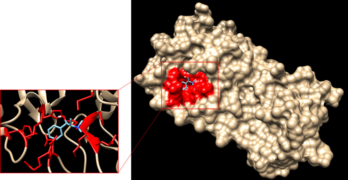 ▲코로나19 치료제 후보물질 발굴에 사용된 바인딩 예측 기술 시연 장면 (사진제공=테라젠이텍스)