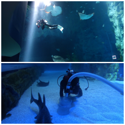 ▲'극한직업'(사진제공=EBS1)