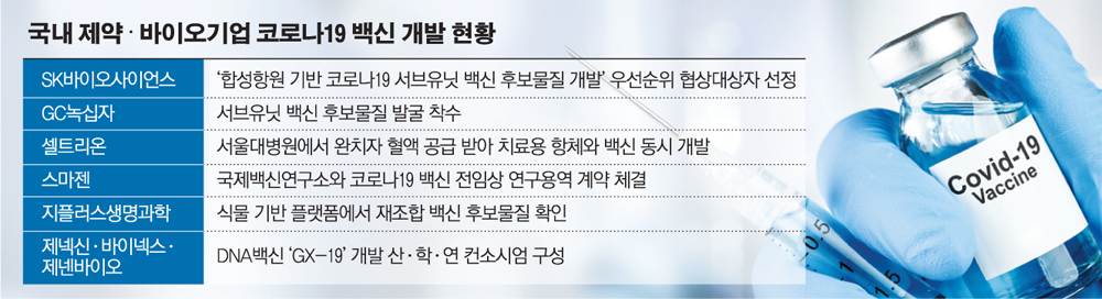 (그래픽=손미경 기자 sssmk@)